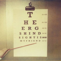 Ergs, The - Hindsight is 20/20 My Friend CD