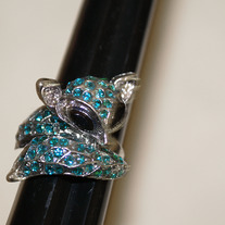 Turquoise_20fox_medium