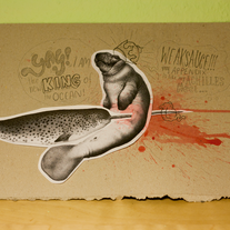 Narwhal Collage