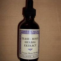 Teasel Root Tincture, Extract 2 oz., Lyme Disease, Fibromyalgia, Chronic Fatigue
