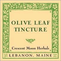 Olive Leaf Tincture, Herbal Extract 4 oz. Antibiotic, Anti-Viral and Anti-Fungal