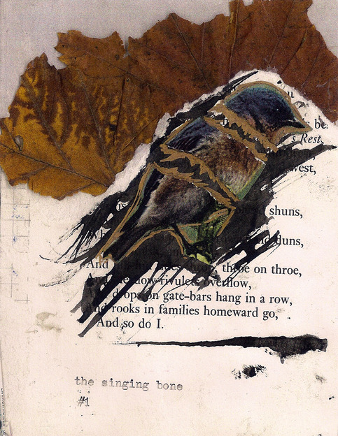 The Singing Bone #1 zine by Ashley Bayer