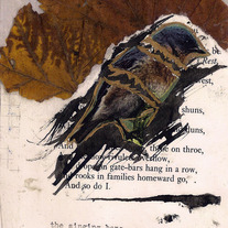 The Singing Bone #1 zine by Ashley Bayer