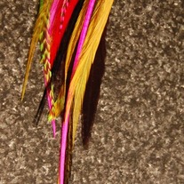 Feather Earrings 91