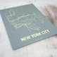 Nyc2_small