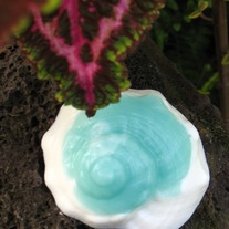 Seashell Swirl Glycerin Soap