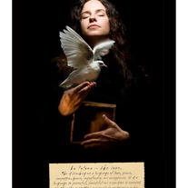 La Paloma Dove 11"x14" Signed Fine Art Print