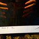 _mg_3116_small