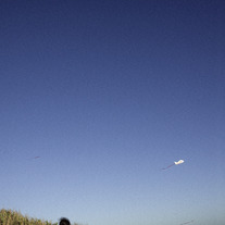 Fly