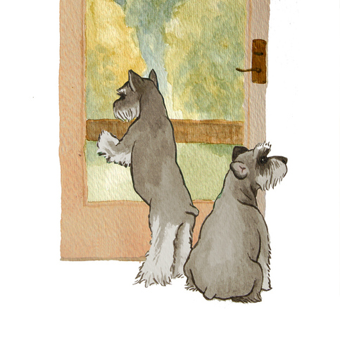 Illustrated Canine Note Cards - Miniature Schnauzers - Set of 5 Blank Cards
