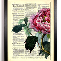 Big Half Rose, Vintage Dictionary Print, 8 x 10