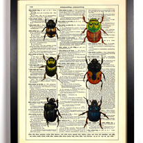Beetle Bugs, Vintage Dictionary Print, 8 x 10
