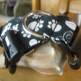Formal_20paws_20buckle_small
