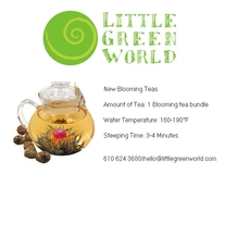 Lgw_20logo_20display_20tea_20instruction_medium