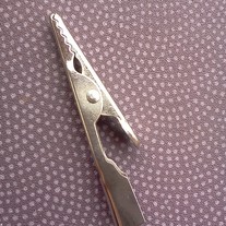 Alligator hair clip