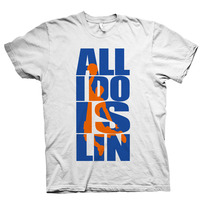 ALL I DO IS LIN