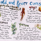 Herbal Remedies for Winter Wellness - Thumbnail 2