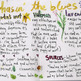 Herbal Remedies for Winter Wellness - Thumbnail 3