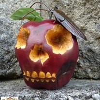 "Rotten Roach" by Zam