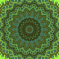 NineTomatoes Radiating Two Canvas