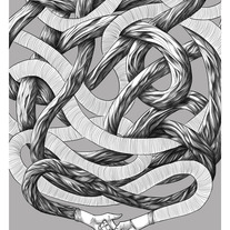 Tangled