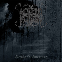 Roughcoversmallerrgb_medium