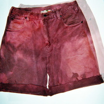 Leisure Chill Shorts