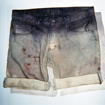  Leisure Fader Shorts