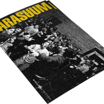 Drsm_11x17horiz_medium