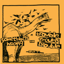 Somethings Wrong/Trouble Trouble Trouble - split 7"