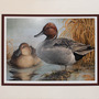 "Chilly Morning" - Northern Pintails Acrylic Painting - Thumbnail 1