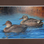 "Gadwalls" Acrylic Painting - Thumbnail 1