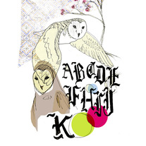 Barn Owls Print