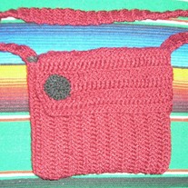 Red and Black Purse