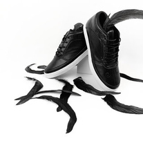 Phoenix (Black)