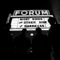 Night Birds - The Other Side of Darkness CD