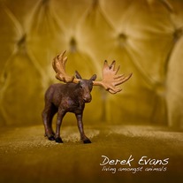 Living Amongst Animals "Digital Download"