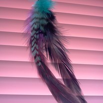 Feather bobby pin