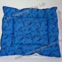 Bstars162sf_542_medium