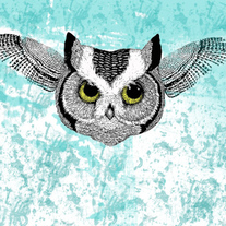Owl-face_medium