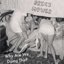 Brick Mower - Why Are We Doing This 7"