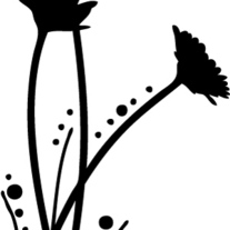Flowers-big_medium