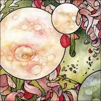 Torche - In Return 10" + CD