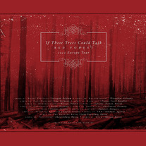 If These Trees Could Talk - 2012 Europe Tour Poster