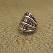 Dsc09758_medium