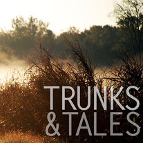 Trunks & Tales - Standing Still Fast 7"