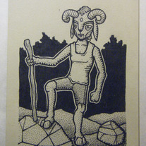 Surveyor