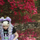 Dream Blonde / Blue / Lavender / Pink Mix Wig Set - Thumbnail 3