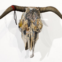 Skull | Dave Frey