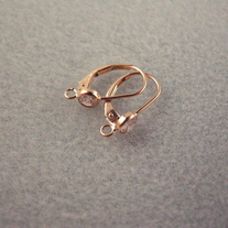 Gold Leverback earring